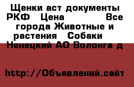 Щенки аст документы РКФ › Цена ­ 15 000 - Все города Животные и растения » Собаки   . Ненецкий АО,Волонга д.